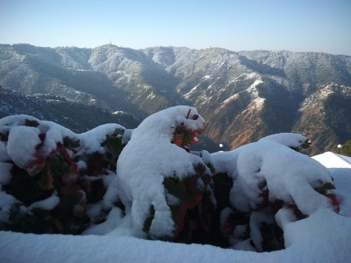 Spangle Heights Shimla, Suites And Residences Экстерьер фото